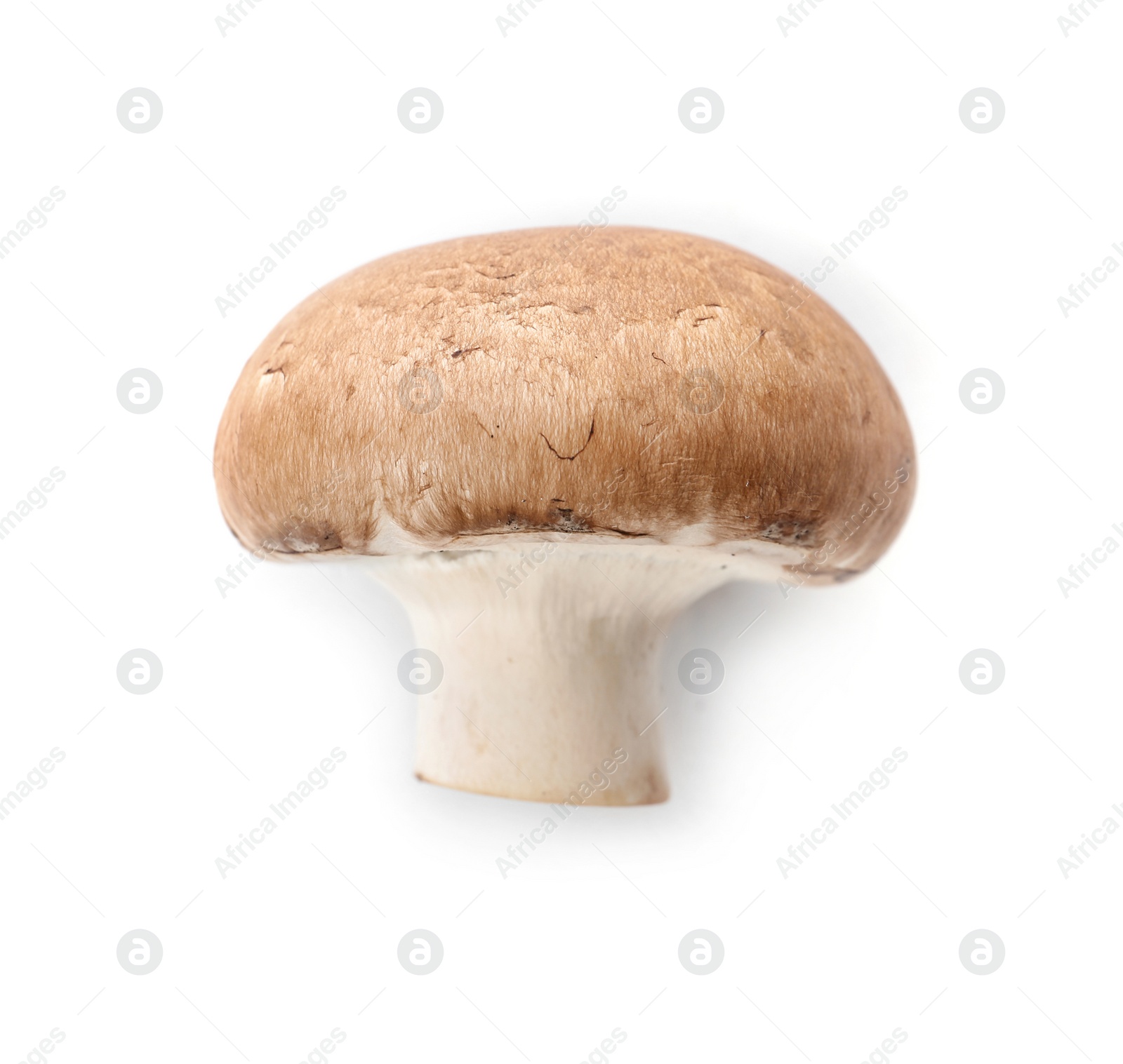 Photo of Fresh raw champignon mushroom on white background, top view
