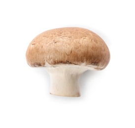 Photo of Fresh raw champignon mushroom on white background, top view