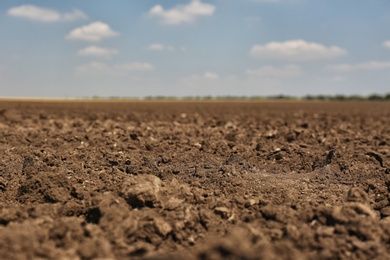 Photo of View of fertile ground surface on sunny day