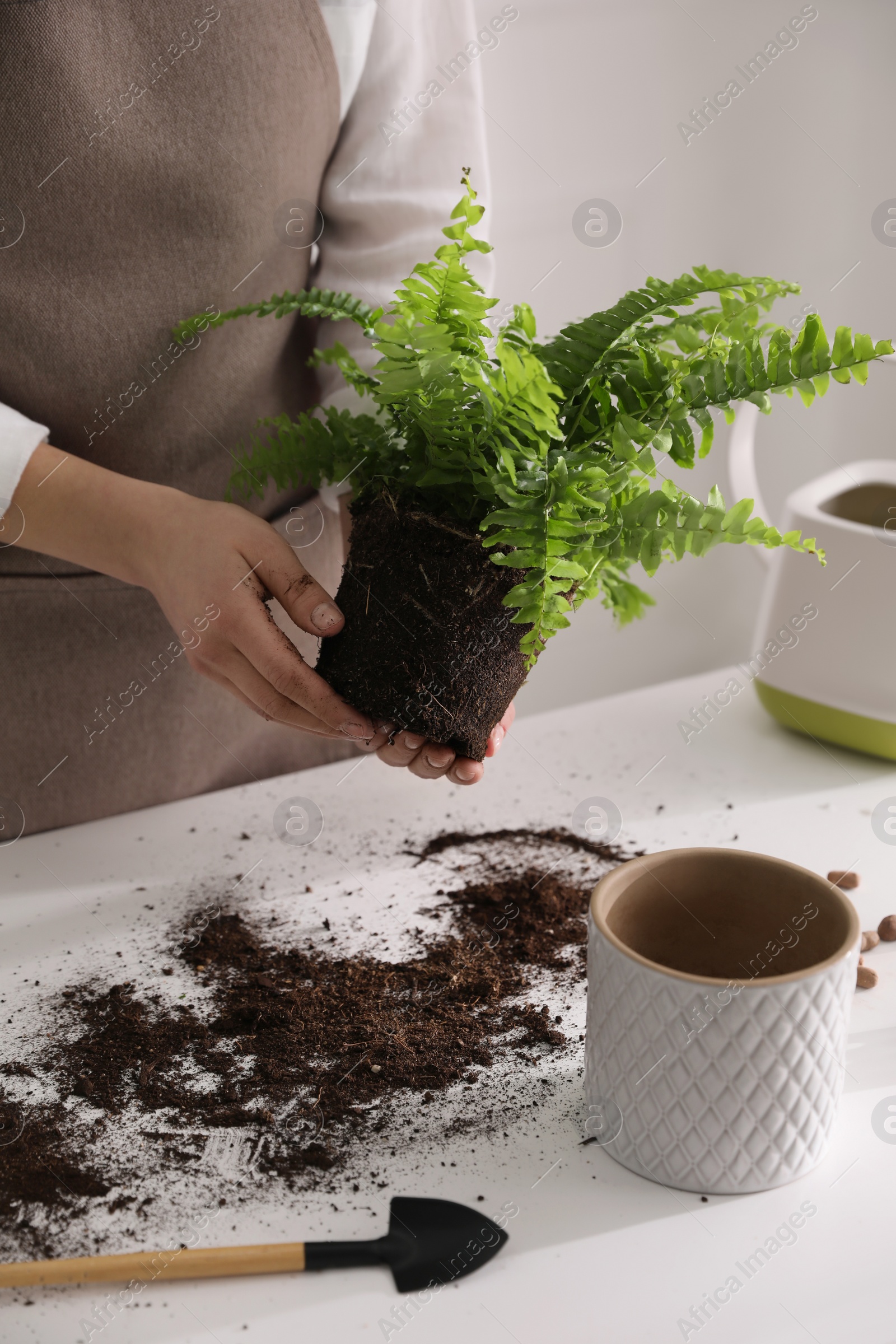 Photo of Woman holding fern above white table, closeup