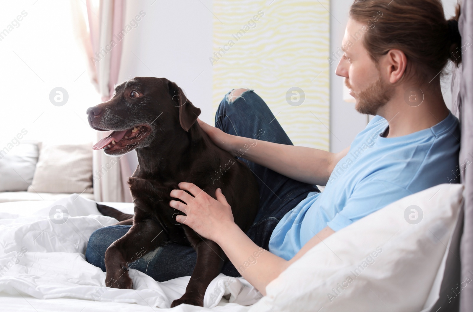 Photo of Adorable brown labrador retriever with owner on bed indoors