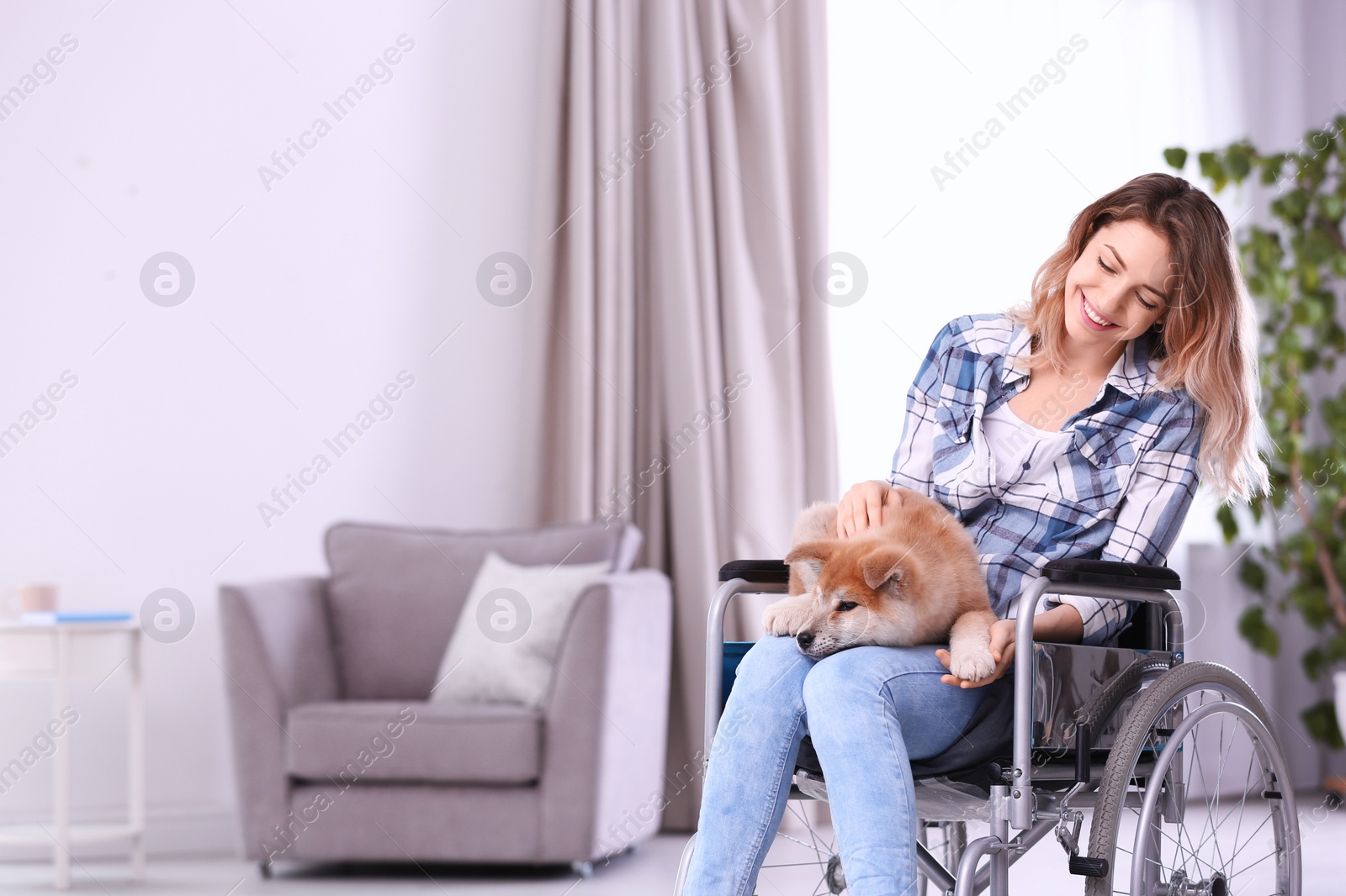 Photo of Young woman in wheelchair with puppy at home