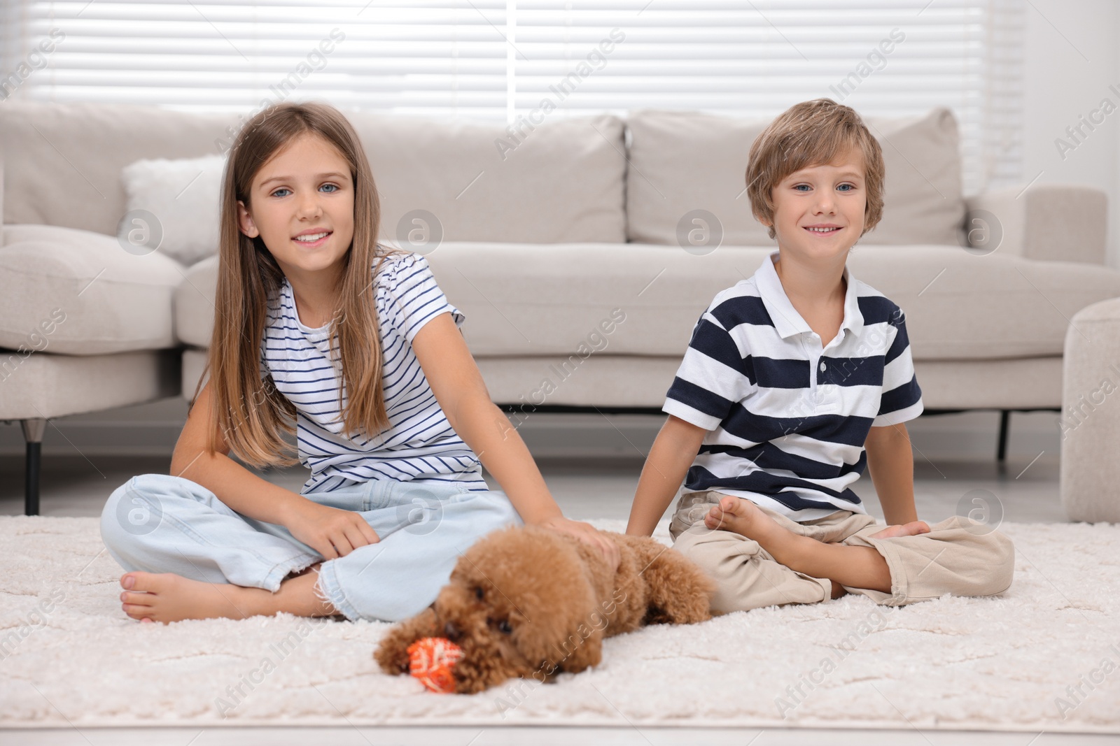 Photo of Little children and cute puppy on carpet at home. Lovely pet