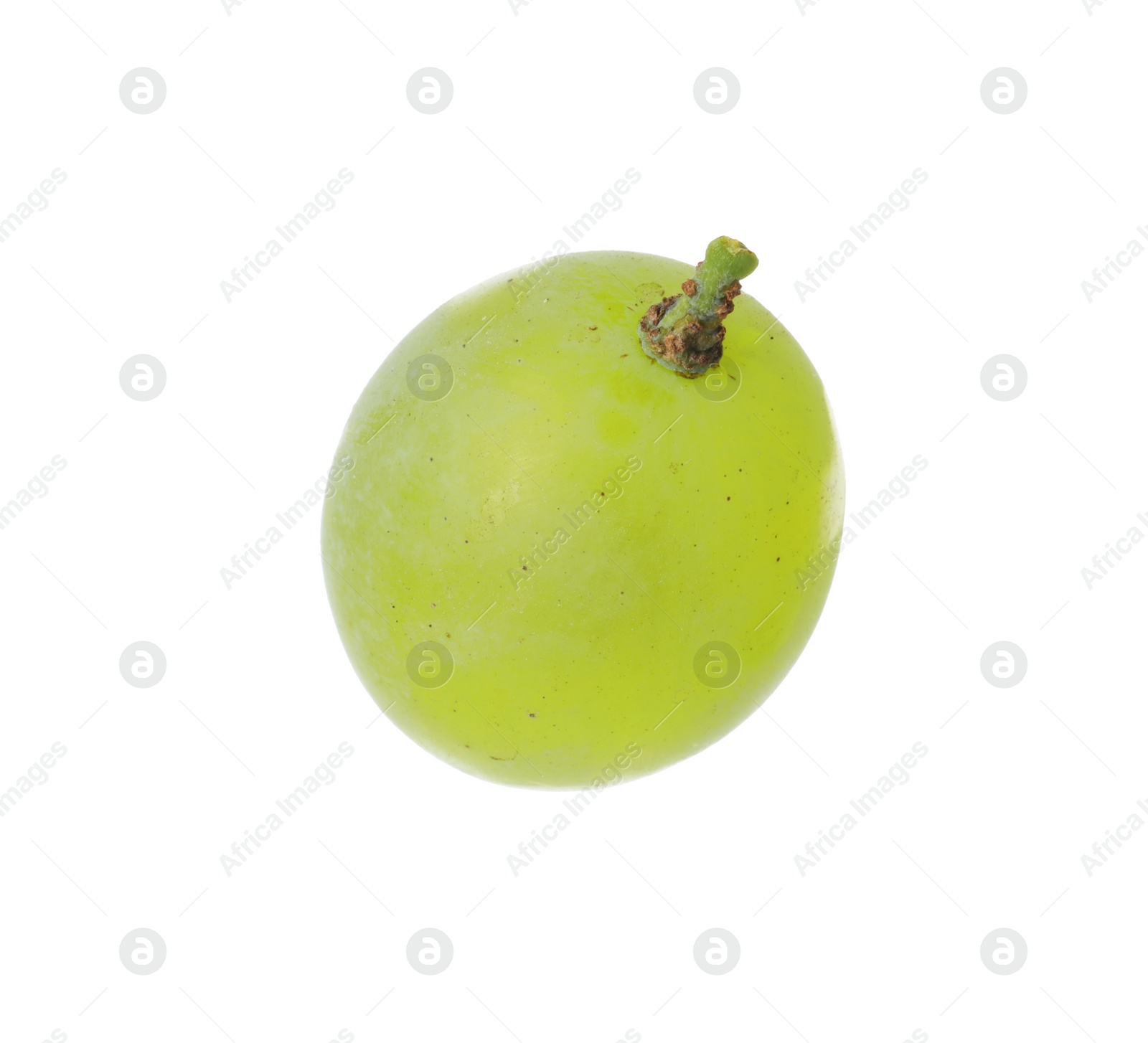 Photo of One ripe green grape isolated on white