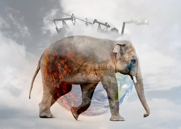 Double exposure of elephant and conceptual image depicting Earth destroying by global warming and industrial pollution