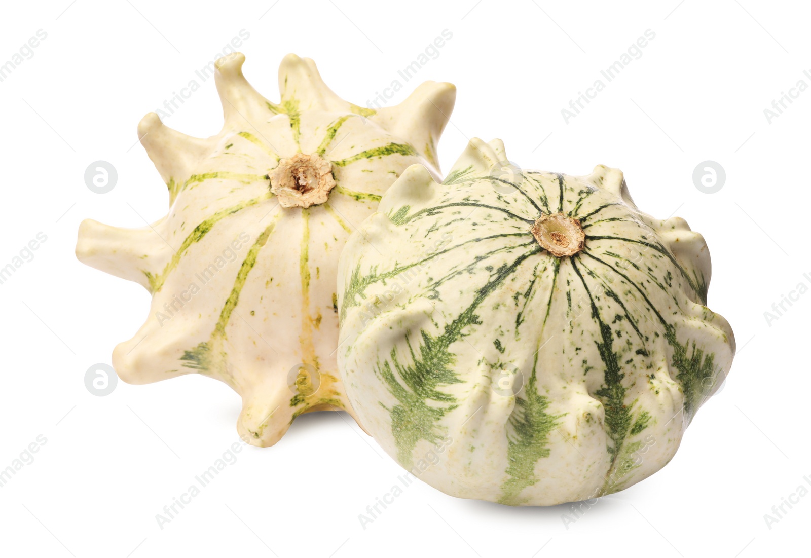 Photo of Two fresh ripe pumpkins isolated on white