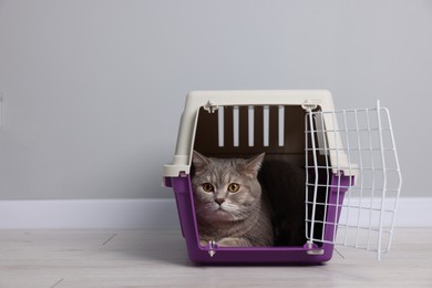 Photo of Travel with pet. Cute cat in carrier on floor near grey wall indoors, space for text