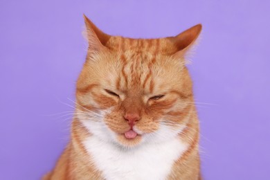 Photo of Cute cat showing tongue on lilac background