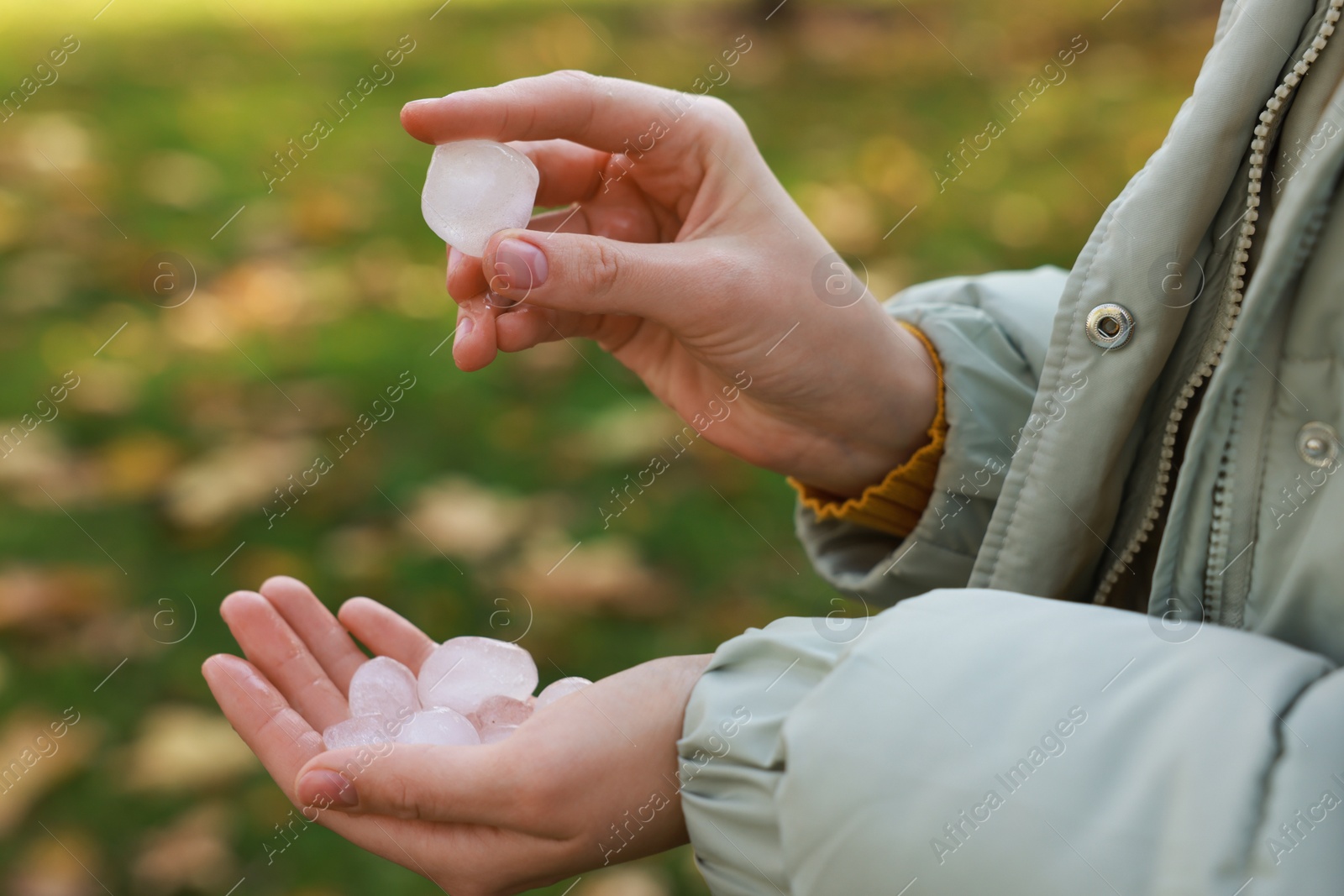 Photo of Woman holding hail grains after thunderstorm outdoors, closeup