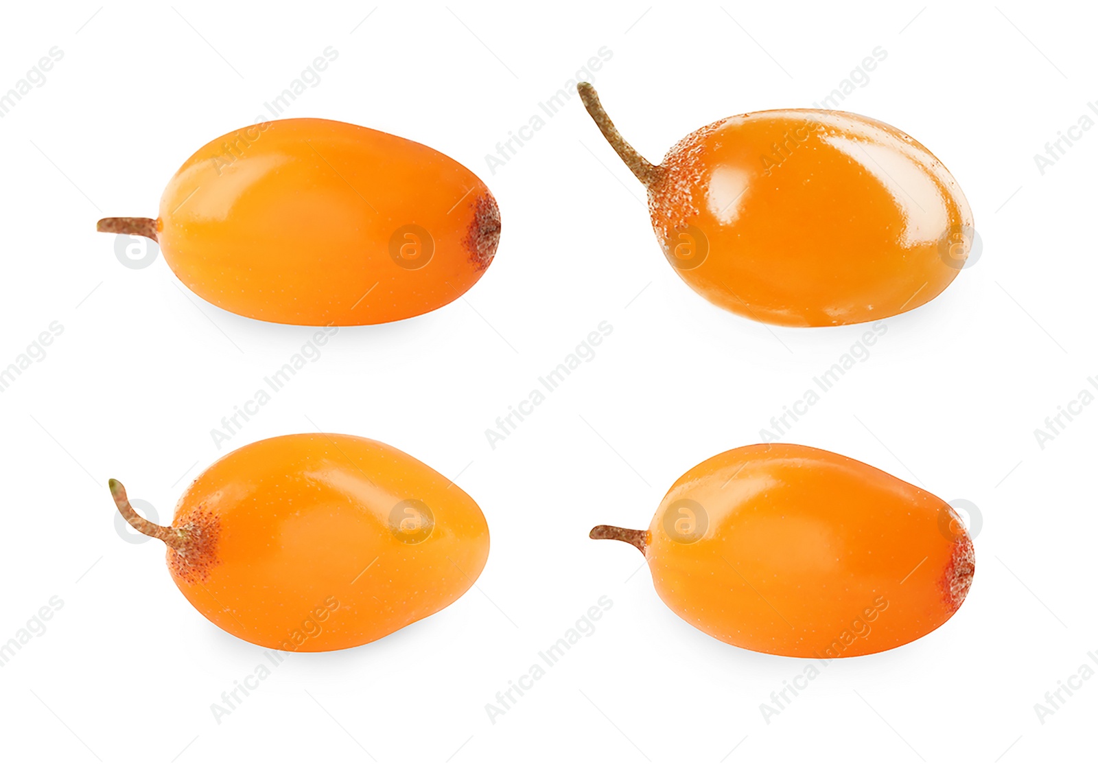 Image of Set with fresh ripe sea buckthorn berries on white background 