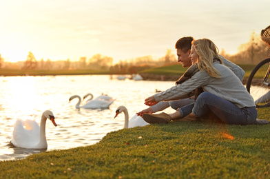 Young couple near lake with swans at sunset. Perfect place for picnic
