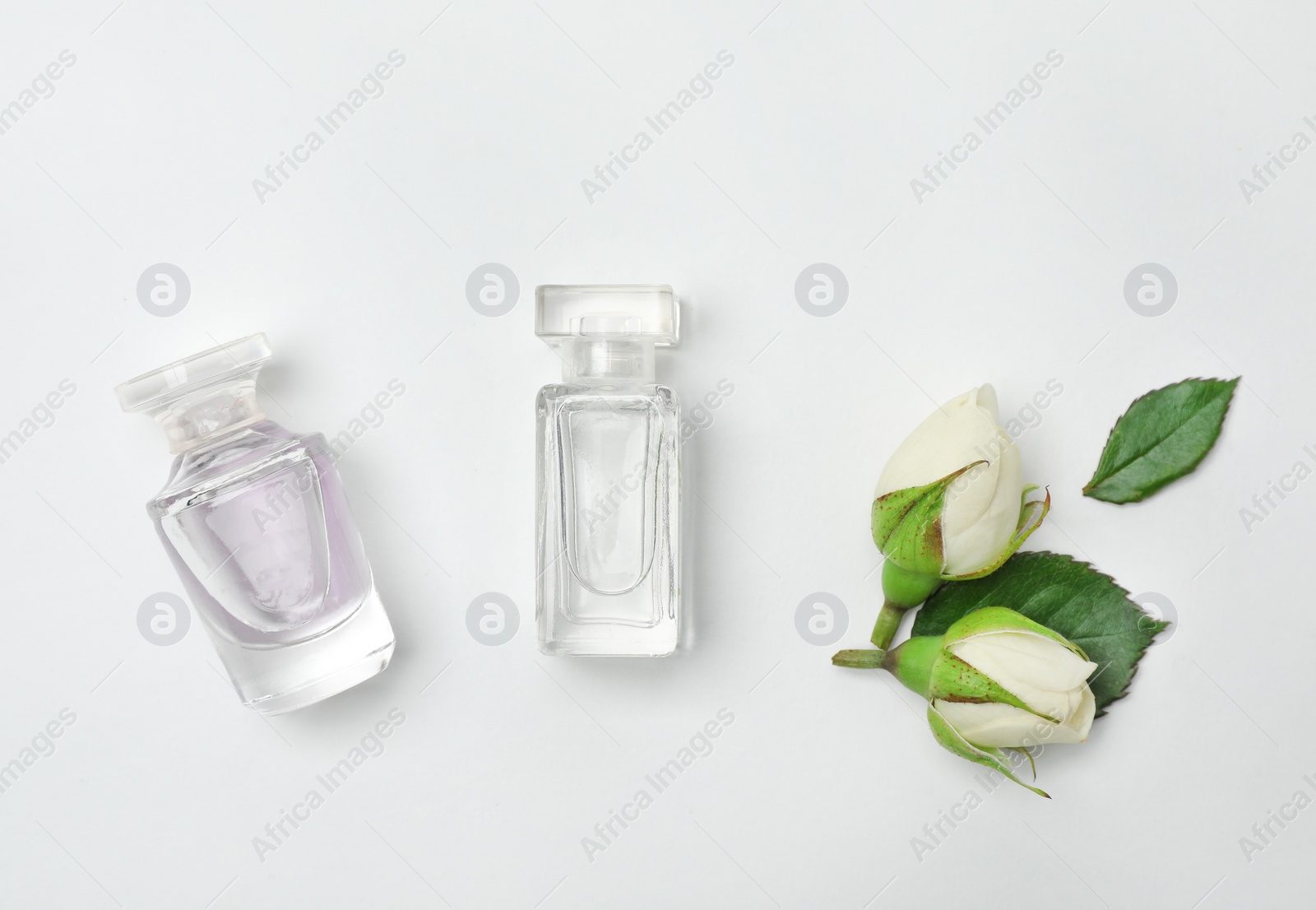 Photo of Composition with transparent bottles of perfume and beautiful flowers on white background