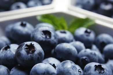 Photo of Fresh blueberries with green leaves in white dishware, closeup