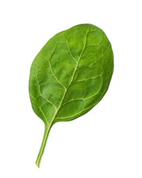 Fresh green healthy baby spinach leaf isolated on white