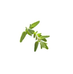 Photo of Fresh green thyme sprig isolated on white