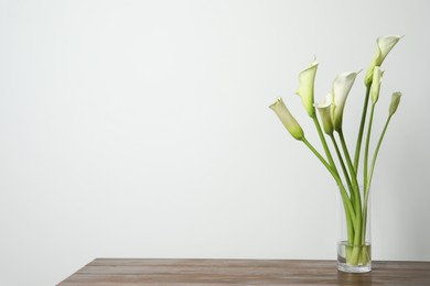 Beautiful calla lily flowers in vase on wooden table against white background. Space for text