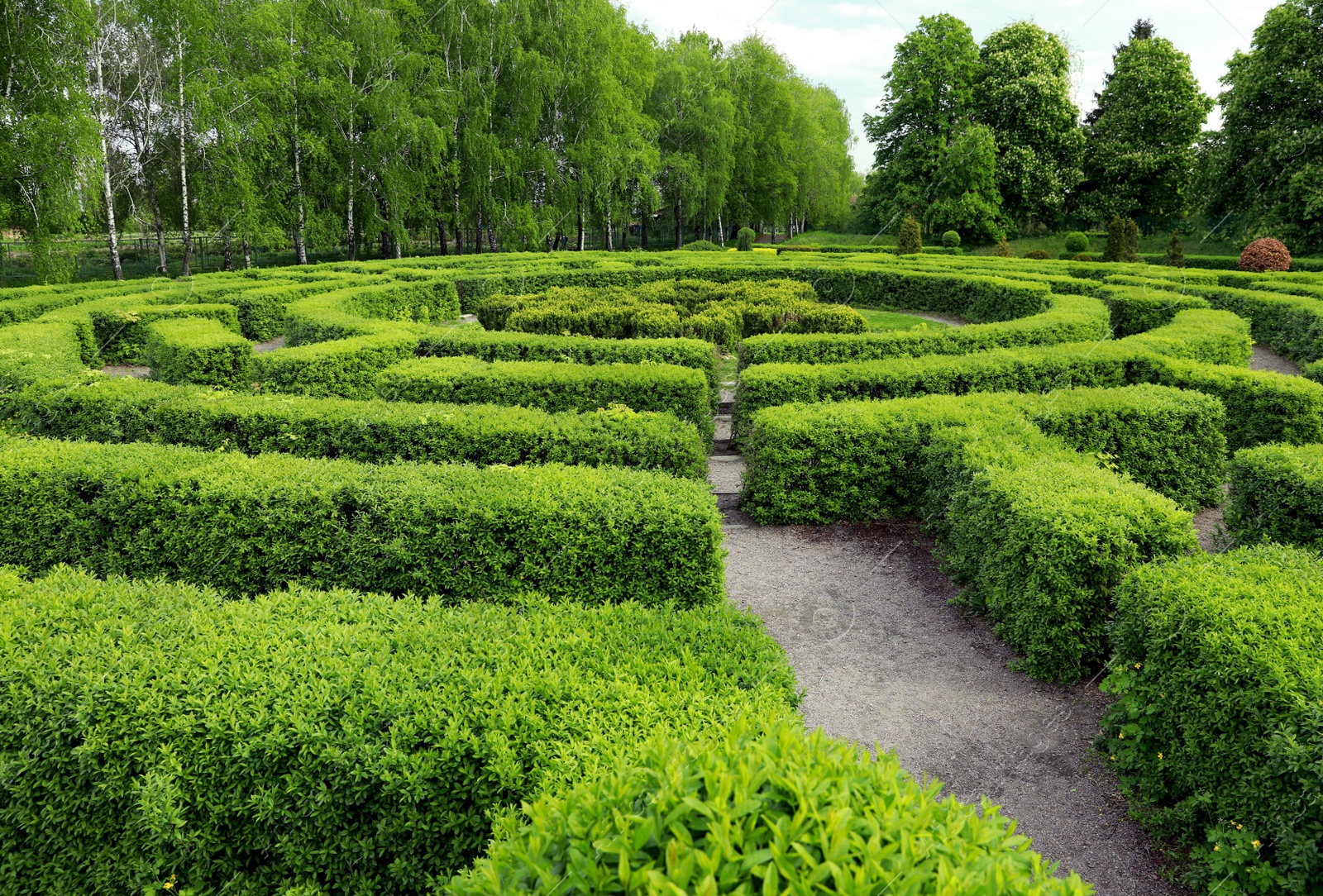 Photo of Beautiful view of green hedge maze on sunny day