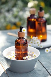 Bottles of chamomile essential oil and flowers on grey wooden table