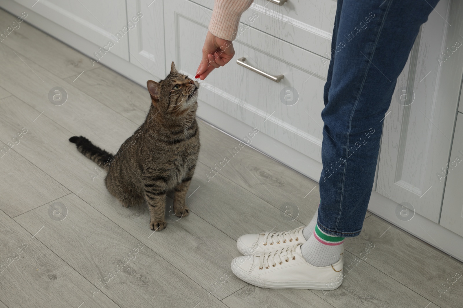 Photo of Woman giving red pill to cute cat at home, closeup. Vitamins for animal