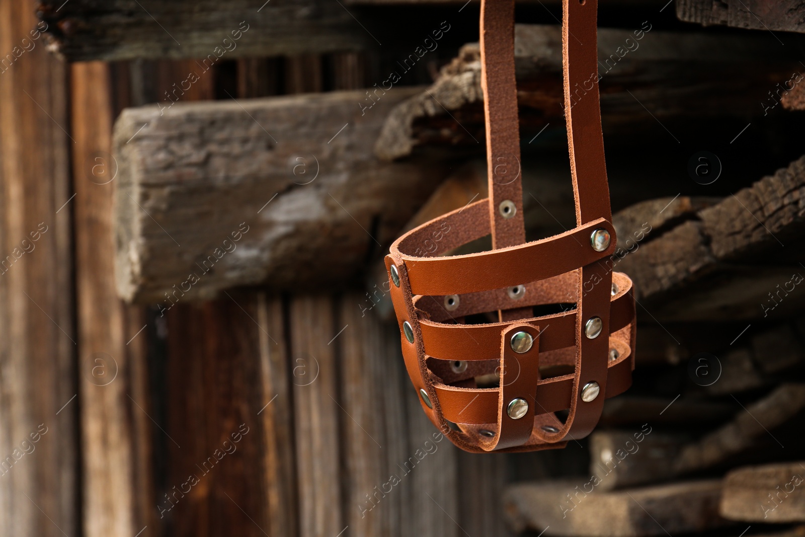 Photo of Brown dog muzzle hanging near firewood, closeup. Space for text