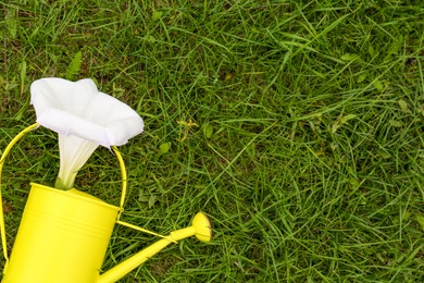 Photo of Watering can with beautiful datura flower on green grass, top view. Space for text