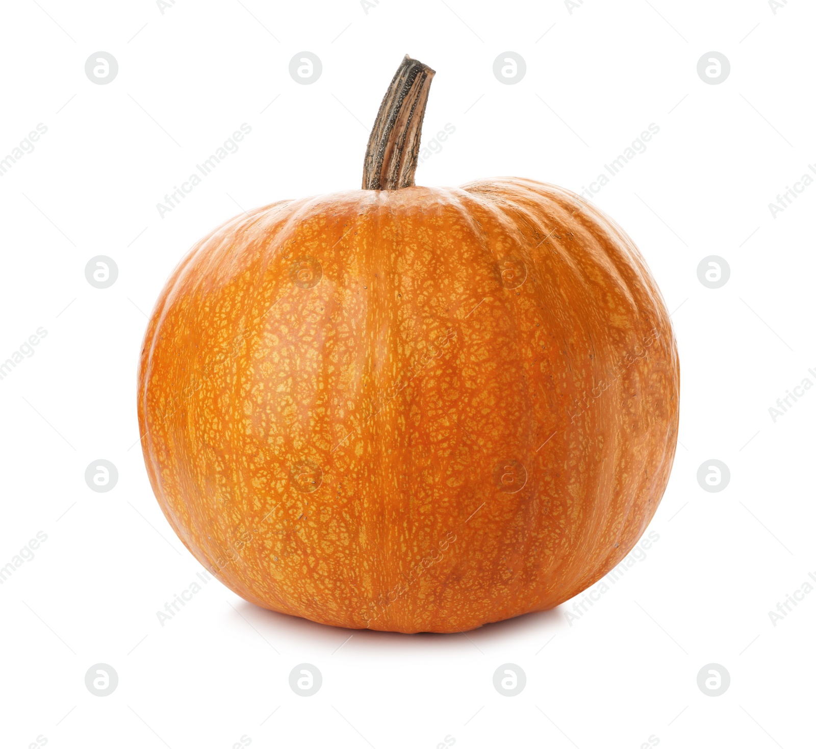 Photo of Fresh raw pumpkin isolated on white. Organic plant