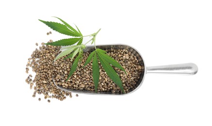 Photo of Metal scoop with hemp seeds and leaves on white background, top view