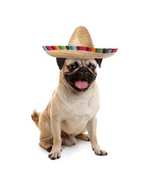 Image of Cute Pug dog with sombrero on white background