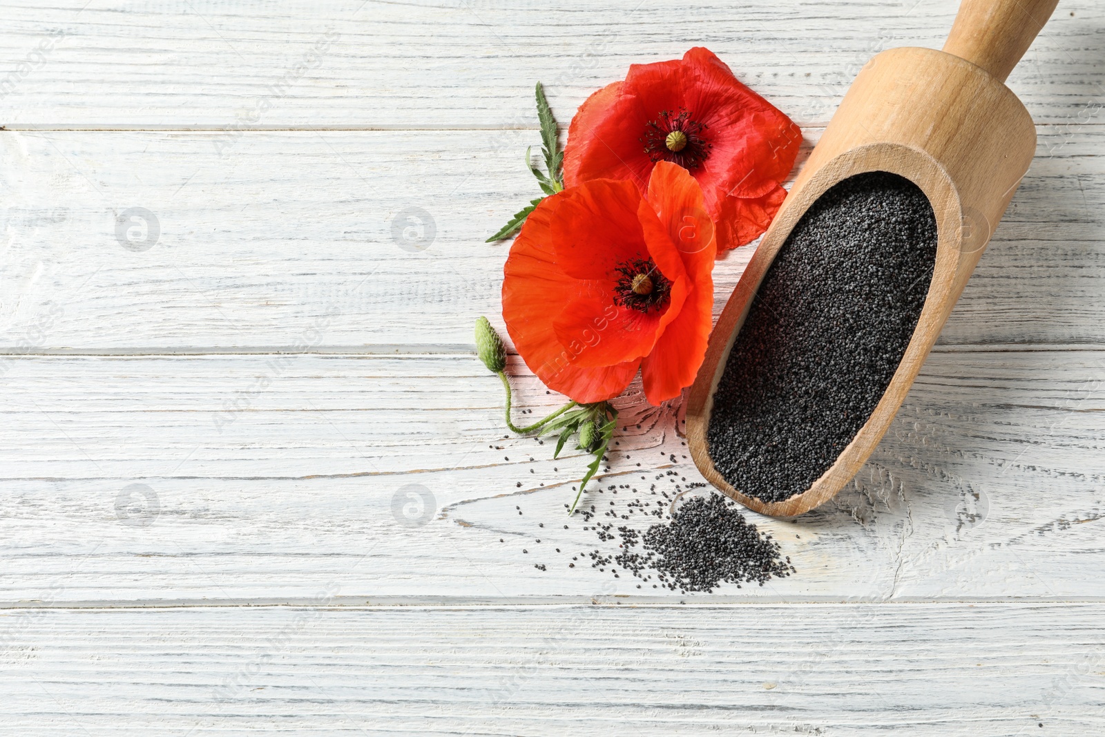 Photo of Scoop of poppy seeds and flowers on white wooden table, flat lay with space for text