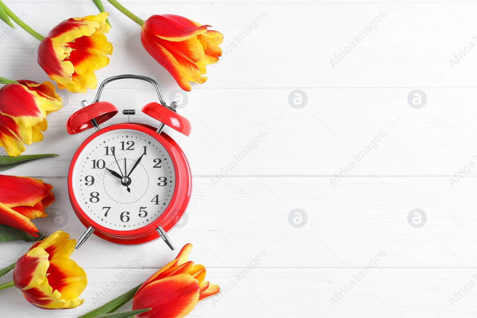 Photo of Red alarm clock, spring flowers and space for text on white wooden table, flat lay. Time change