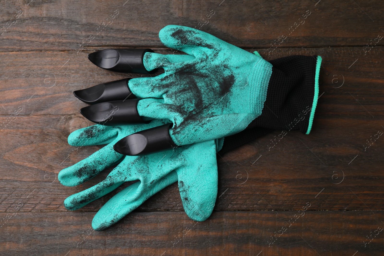 Photo of Pair of claw gardening gloves on wooden table, top view