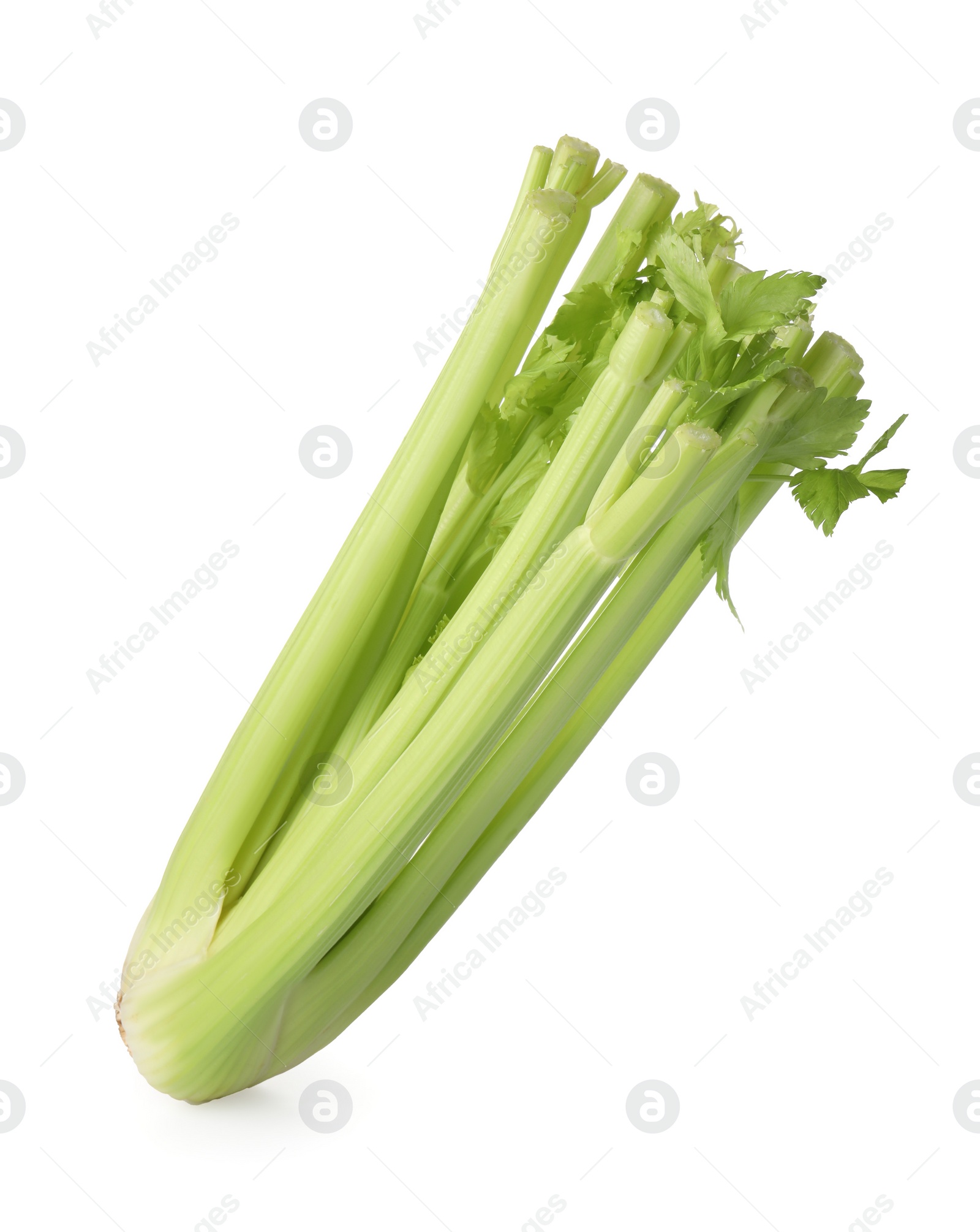 Photo of Fresh ripe green celery isolated on white