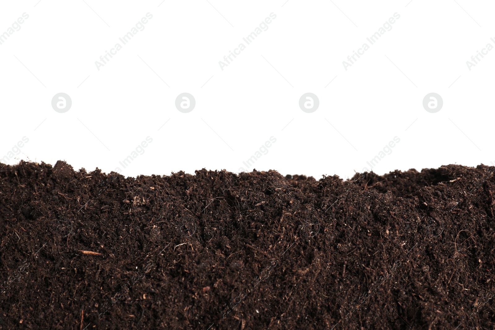 Photo of Layer of fresh soil isolated on white. Gardening time