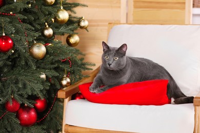 Photo of Cute cat on armchair near Christmas tree at home