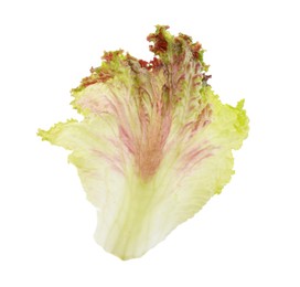 Leaf of fresh red coral lettuce isolated on white