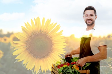 Double exposure of happy farmer and sunflower field. Space for text