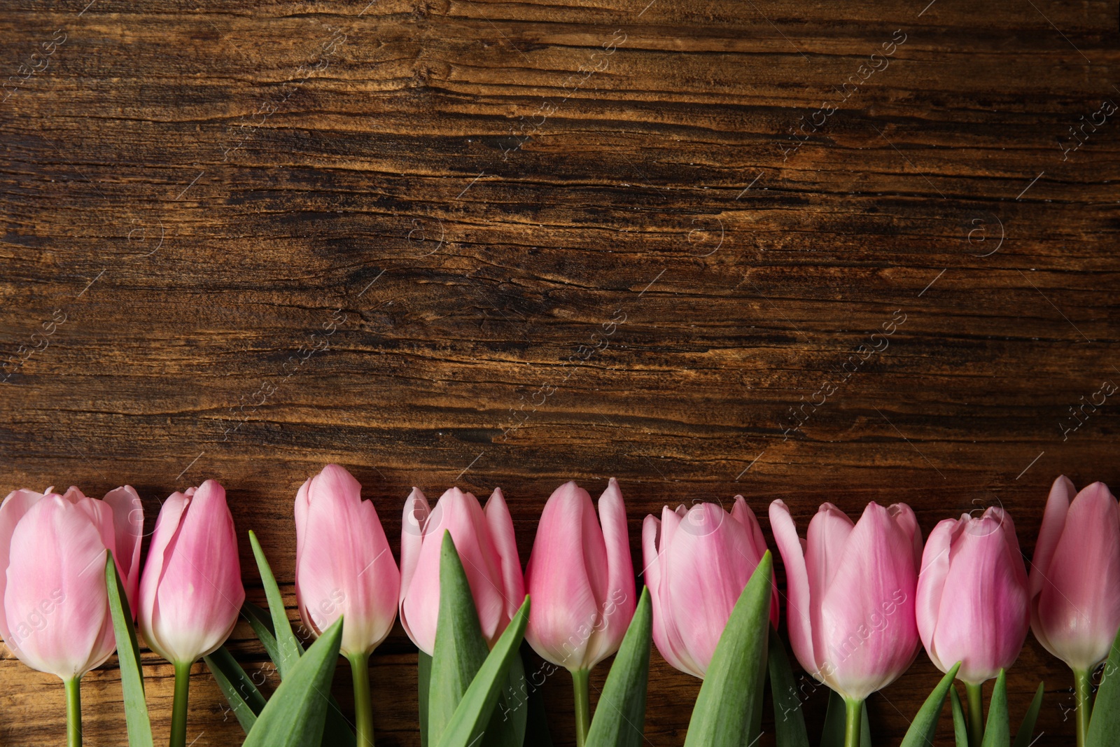 Photo of Beautiful pink spring tulips on wooden background, flat lay. Space for text