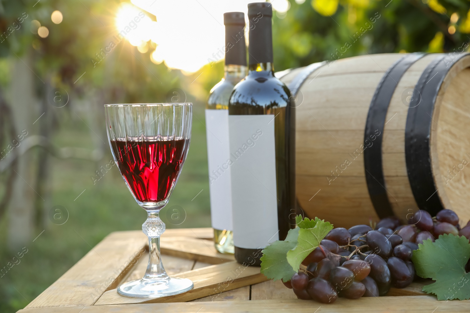 Photo of Composition with wine and ripe grapes on wooden table in vineyard