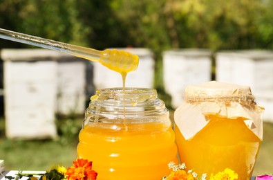 Photo of Taking delicious fresh honey with dipper from glass jar in apiary