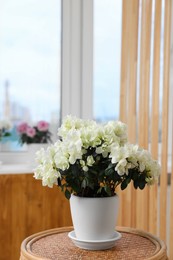 Photo of Beautiful azalea plant in flower pot on wooden table indoors, space for text