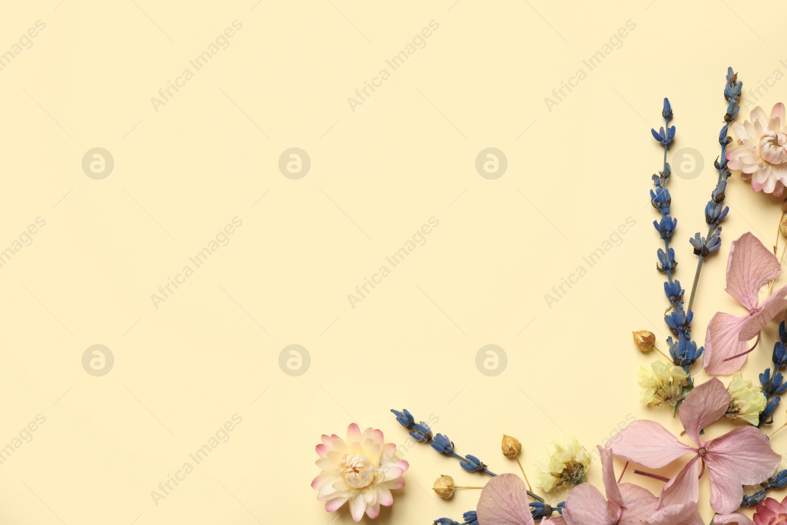 Photo of Flat lay composition with beautiful dried flowers on beige background. Space for text