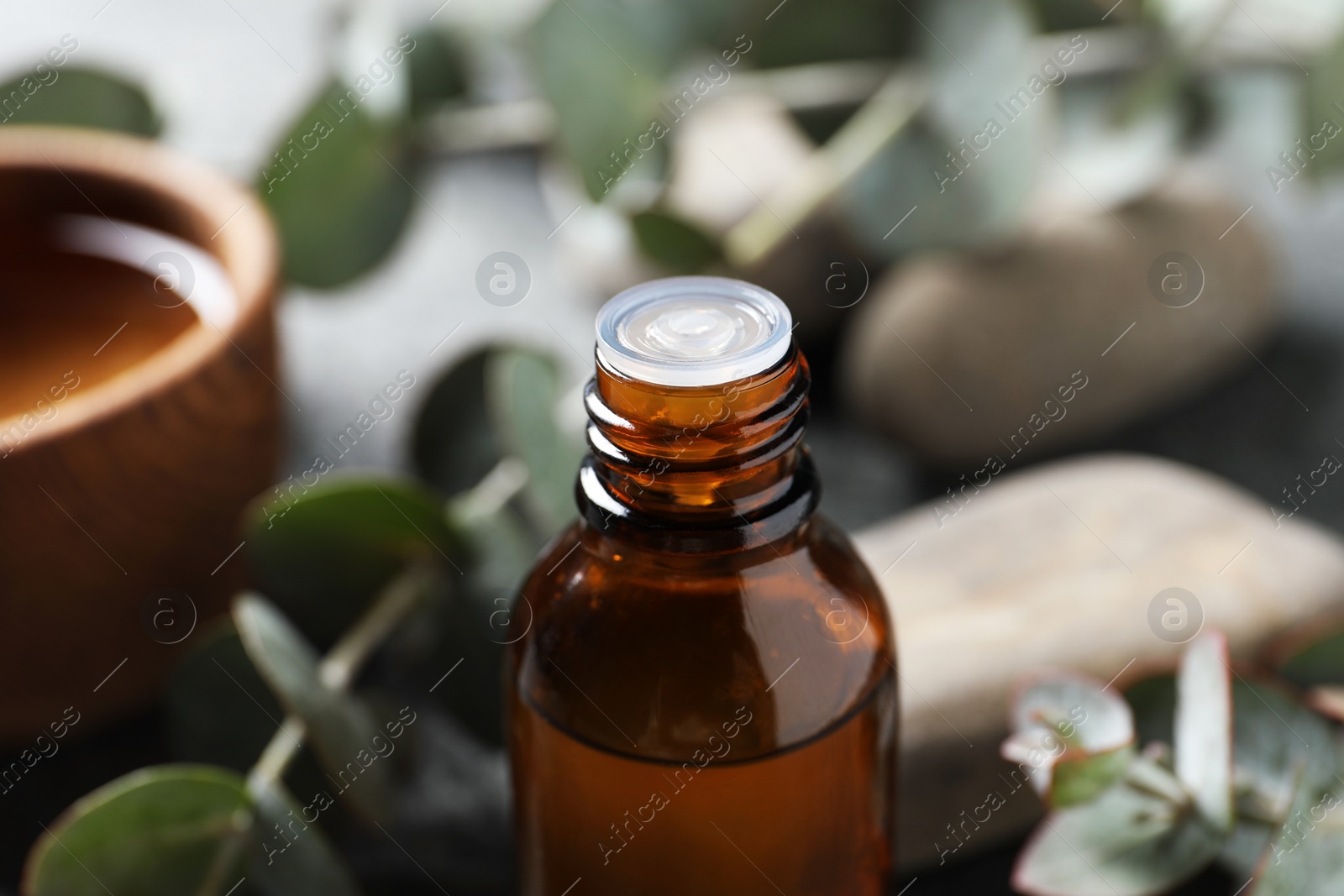 Photo of Bottle of eucalyptus essential oil against blurred background, closeup