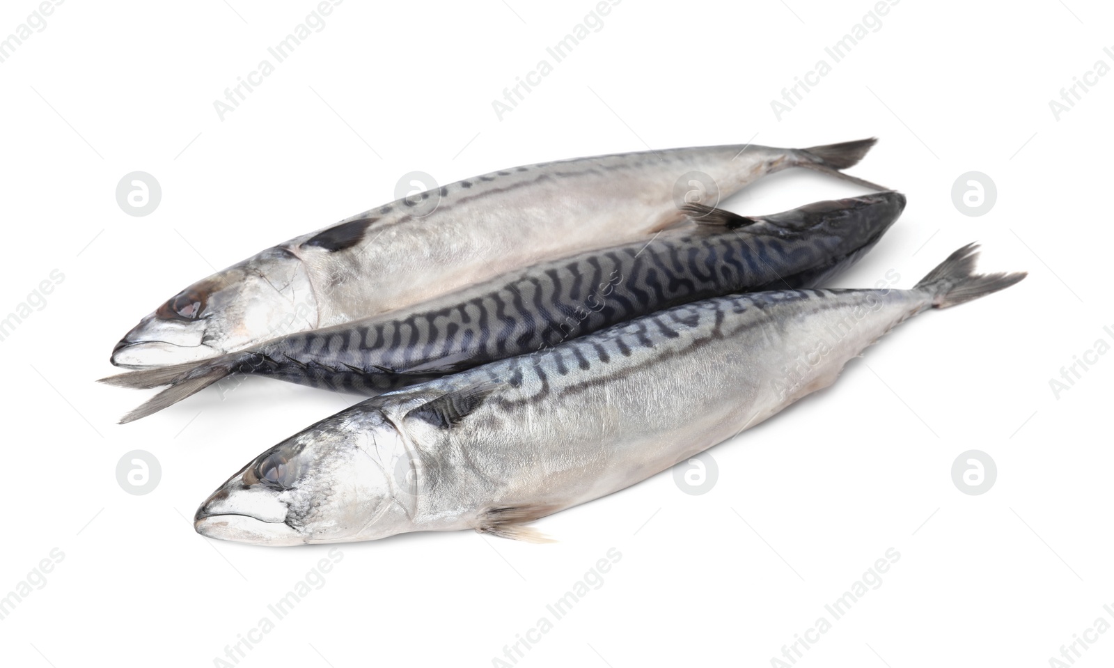 Photo of Many tasty salted mackerels isolated on white