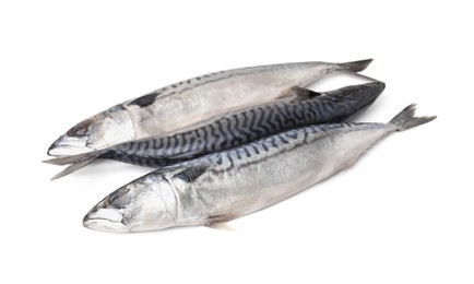 Many tasty salted mackerels isolated on white