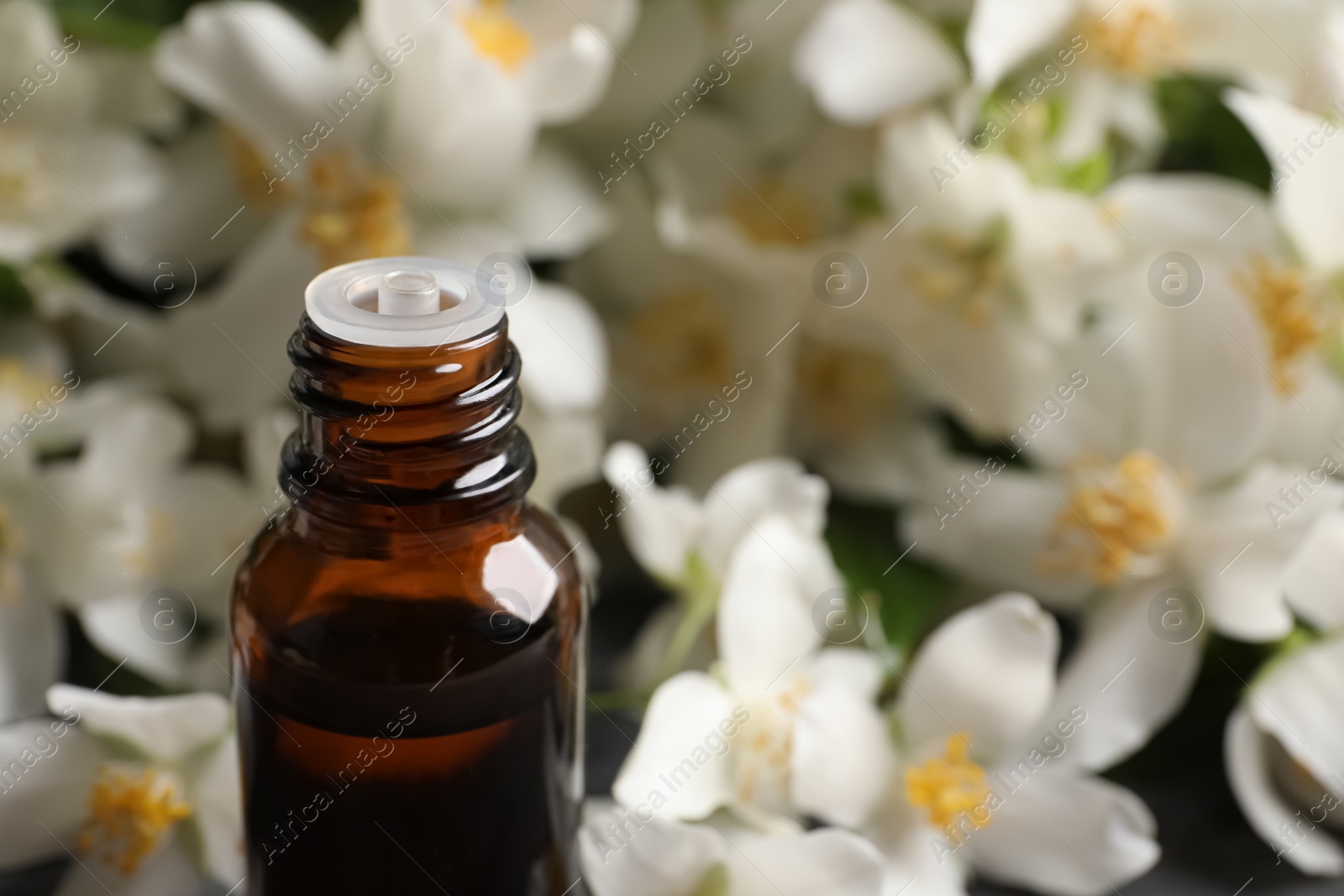 Photo of Bottle of natural jasmine essential oil, closeup. Space for text