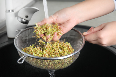 Photo of Woman washing sprouted green buckwheat over sink, closeup