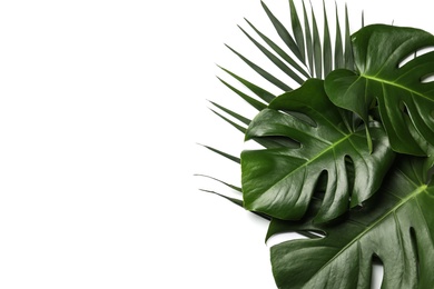 Photo of Flat lay composition with tropical leaves and space for text on white background