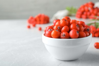 Photo of Fresh ripe rowan berries in bowl on light table, closeup. Space for text