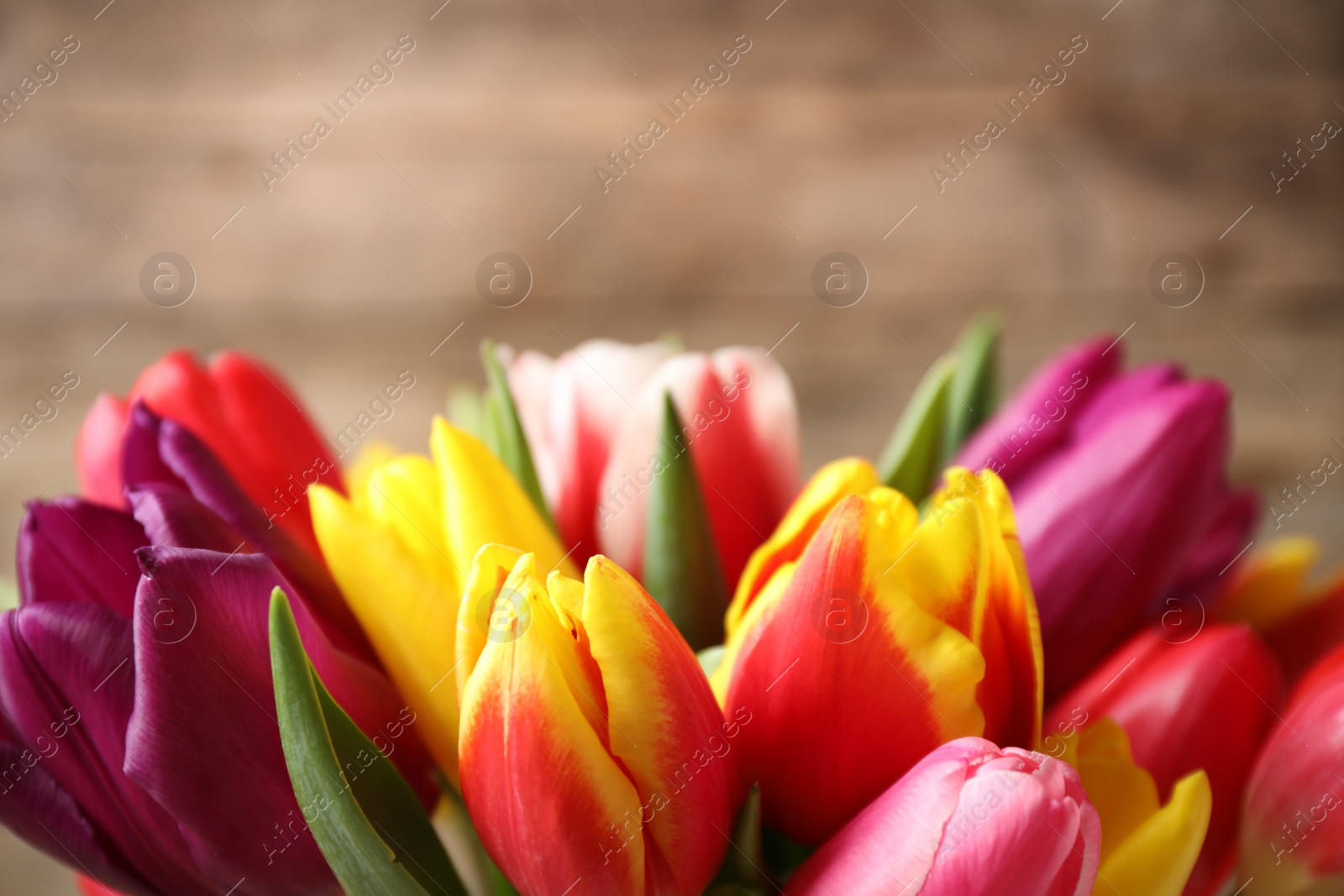 Photo of Beautiful spring tulips on blurred background, closeup