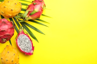 Different pitahaya fruits with palm leaf on yellow background, flat lay. Space for text